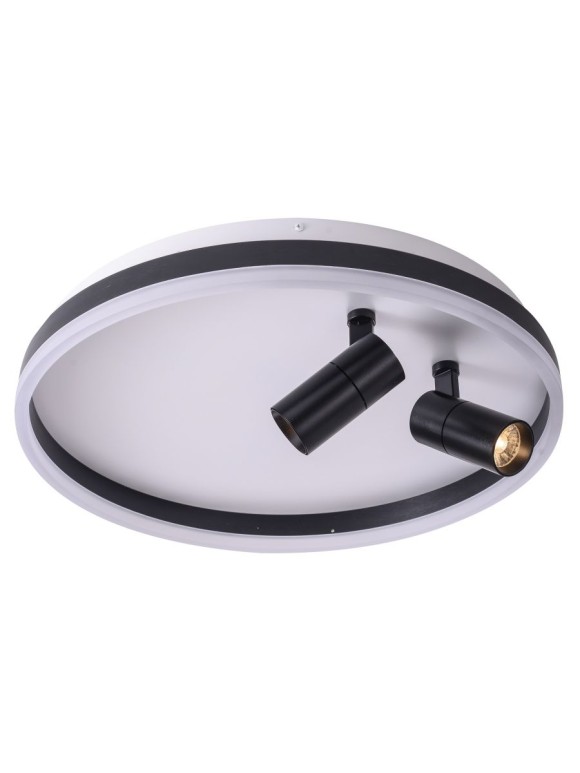 Потолочный светильник Zortes Raizy ZRS.1888.01