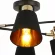 Потолочная люстра Illumico IL6116-6COU-79 BK GD Abelie, Модерн, Черный