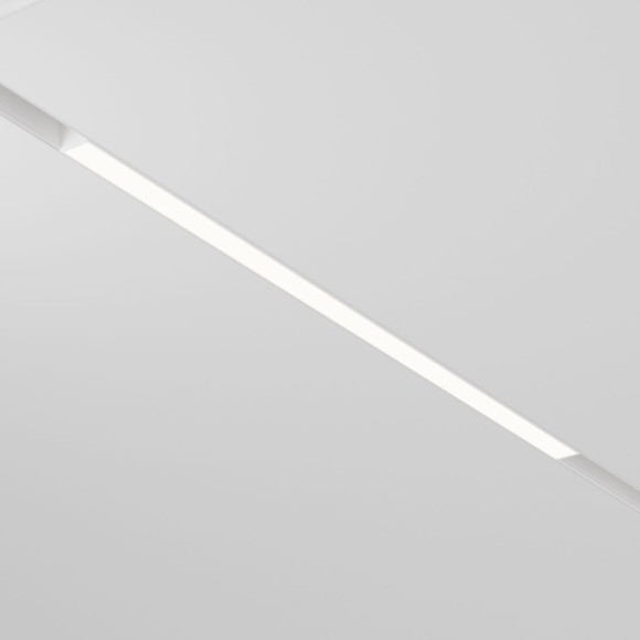 Трековый магнитный светильник Maytoni Basis TR030-2-24W4K-W