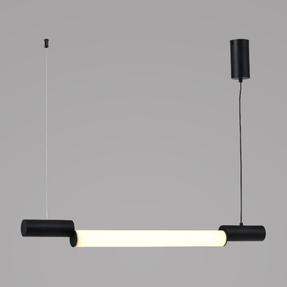 Подвесной светильник Zortes Nepo ZRS.1888.10