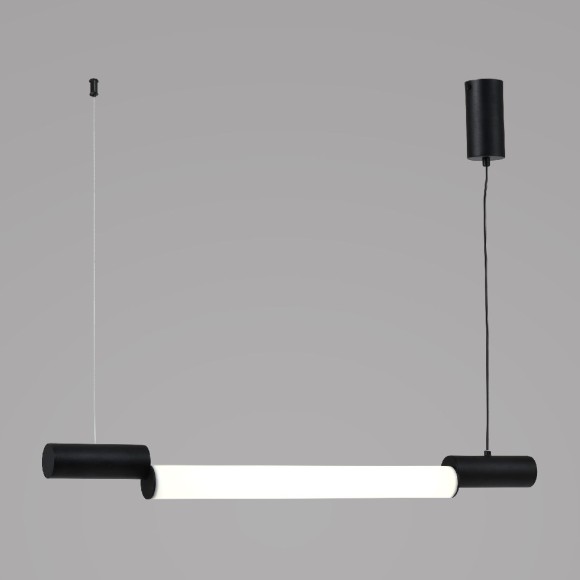 Подвесной светильник Zortes Nepo ZRS.1888.10