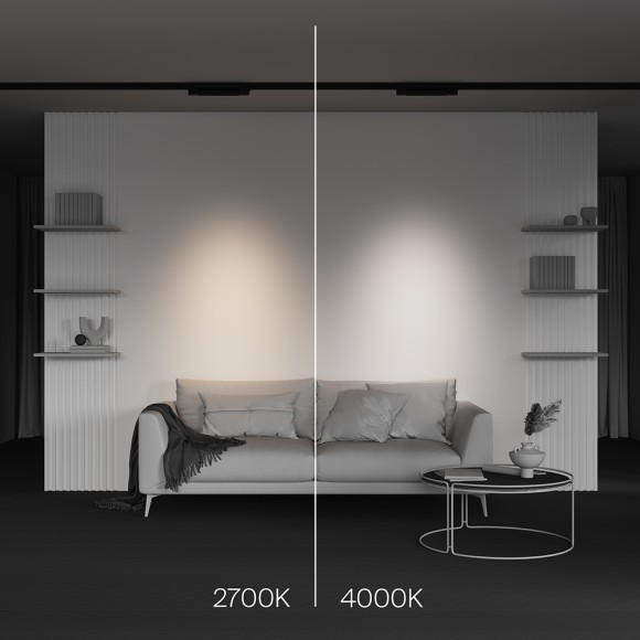 Трековый трехфазный светильник Maytoni Points TR195-3-10W2.7K-M-B