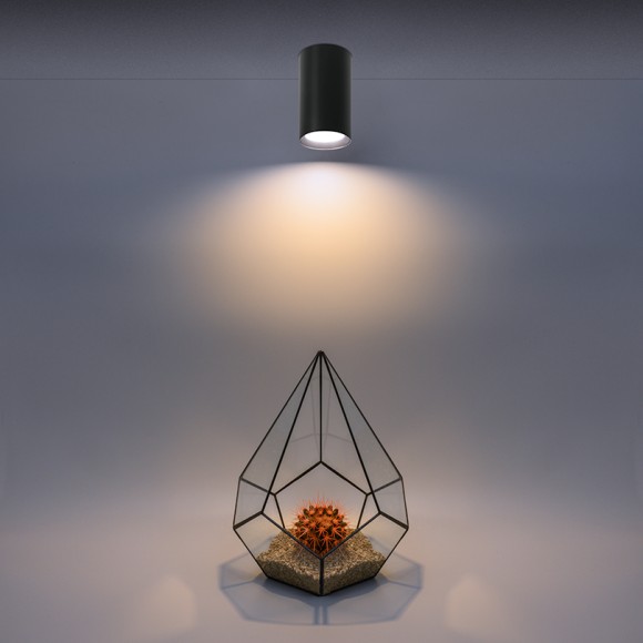 Накладной светильник Wolta Basic WSL-GU10/01BL