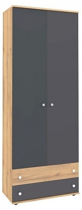 Шкаф платяной Лойс GLZ_N001707