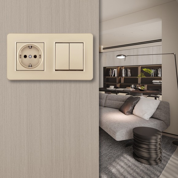 Выключатель двухклавишный с розеткой Arte Milano SET16-2-40-1-30-2 shampan