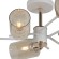 Люстра на штанге Illumico IL8243-6COU-79 WH GD