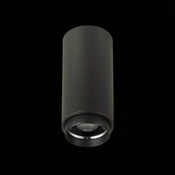 Потолочный светильник ST Luce Zoom ST600.432.10 Потолочный светильник ST Luce Zoom ST600.432.10