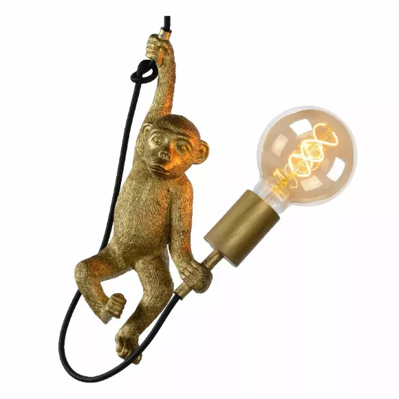 Подвесной светильник Lucide Extravaganza Chimp 10402/01/30, светодиодный модуль Подвесной светильник Lucide Extravaganza Chimp 10402/01/30, светодиодный модуль