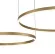 Подвесная люстра Indigo Galass 14001/2P Gold V000011L, крупный план