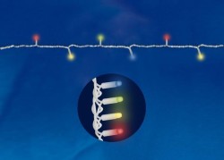 Уличная светодиодная гирлянда Uniel (07927) разноцветный ULD-S1000-120/DWA Multi IP67