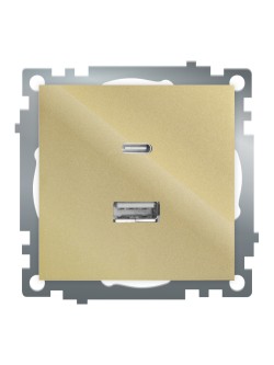 Розетка 2-местная USB + type C Stekker Катрин GLS10-7116-08 50053