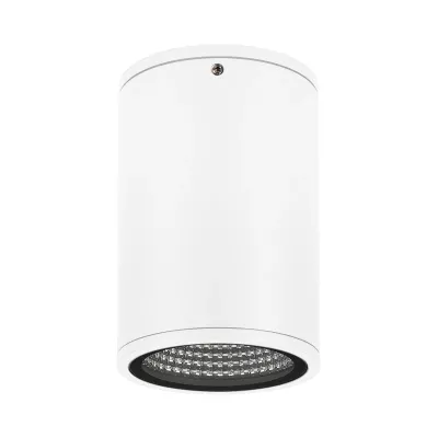 Уличный потолочный светильник Arlight LGD-Forma-Surface-R90-12W Day4000 037259