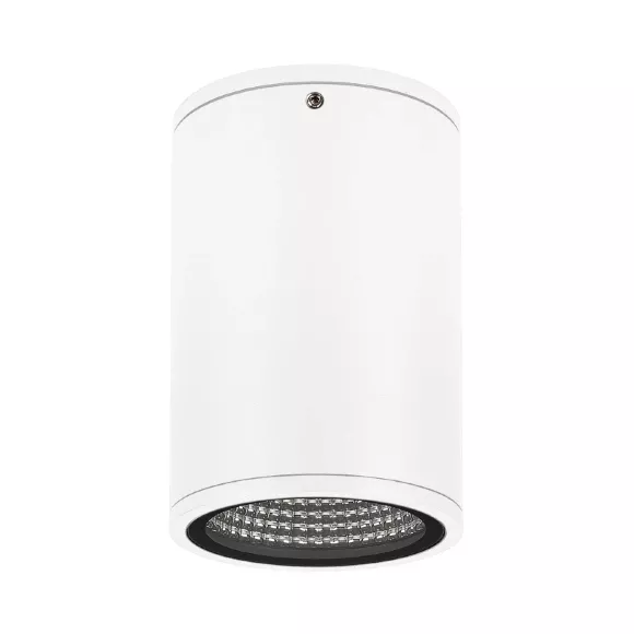 Уличный потолочный светильник Arlight LGD-Forma-Surface-R90-12W Day4000 037259