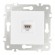 Розетка RJ45 Arte Milano 203.45-1.white
