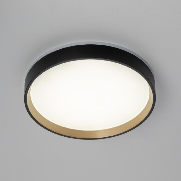 Настенно-потолочный светильник Citilux Etalon CL750241