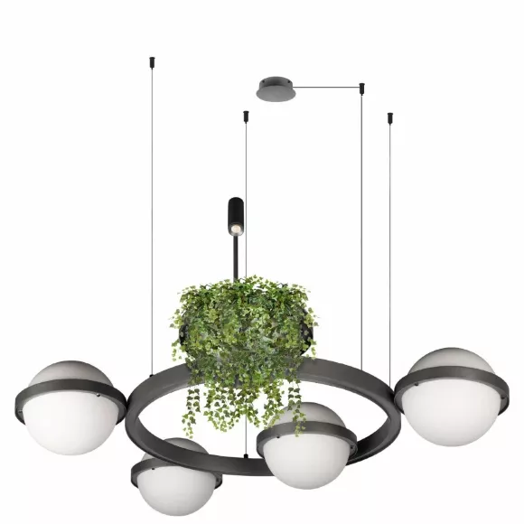 Подвесная люстра Loft IT Jardin 10121/4 Dark grey, Антрацит, Белый, Теплый белый Подвесная люстра Loft IT Jardin 10121/4 Dark grey, Антрацит, Белый, Теплый белый