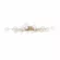 Потолочная люстра Freya Celebrity FR5242CL-24BS1