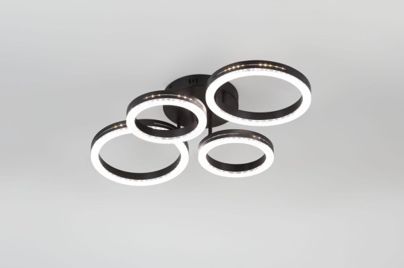 Потолочный светильник Rivoli Flora 6191-201