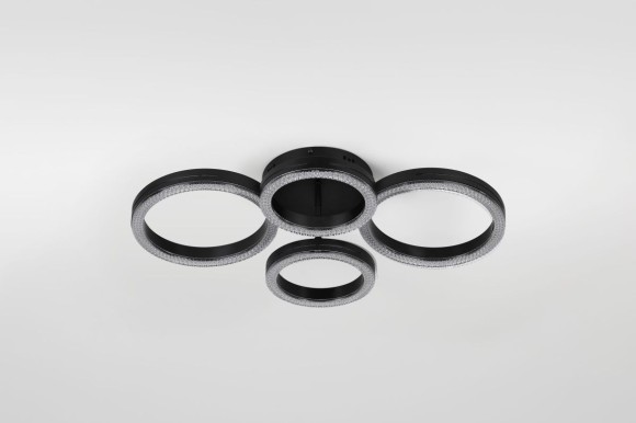 Потолочный светильник Rivoli Flora 6191-201