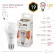 Лампа светодиодная Эра E27 19W 2700K LED A65-19W-827-E27 Б0031702, светодиодный модуль