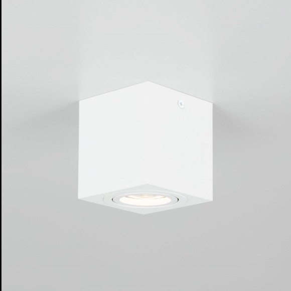 Потолочный светильник Citilux Дюрен CL538211