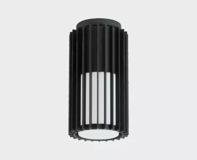 Уличный потолочный светильник Italline IT6030A