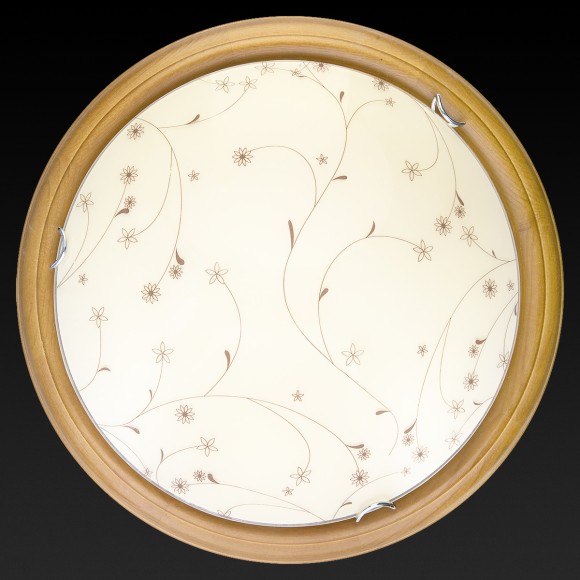 Потолочный светильник Toplight Karissa TL9650Y-00OA