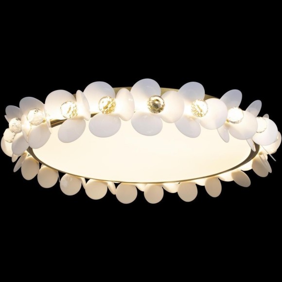 Потолочный светильник Loft IT Bride 10176