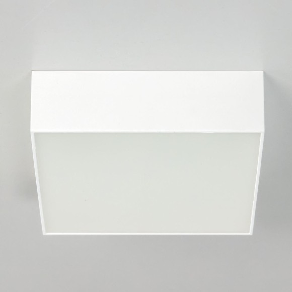 Накладной светодиодный светильник Citilux Тао CL712X120N