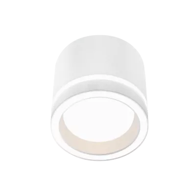 Накладной светильник Wolta Luce WSL-GX53/06W
