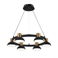 Подвесная светодиодная люстра с пультом управления Indigo Traforo V000182L