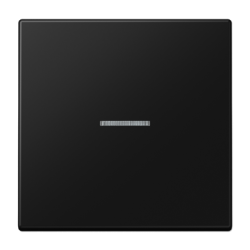 Клавиша 1-ная с линзой Jung LS990 LS990KO5SWM