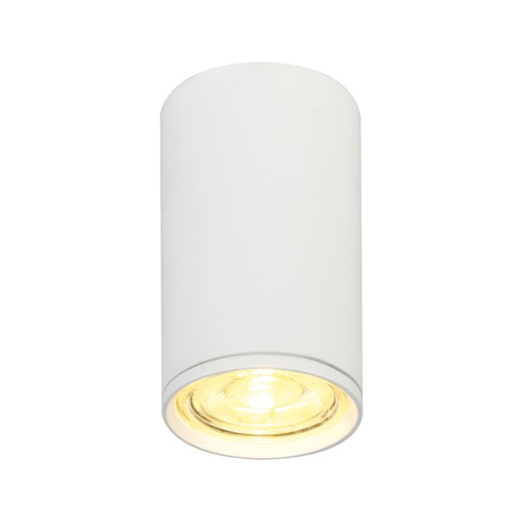 Потолочный светильник 20001 20001SMU/01 SWH