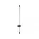 Настенный светильник Loft IT Falcon 10147/850 Black