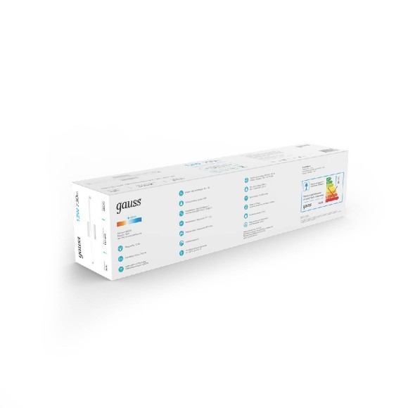 Настенный светильник Gauss Safo BR041