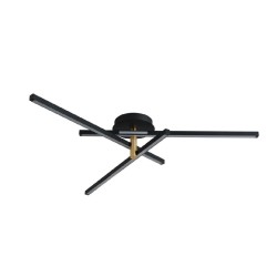 Потолочная светодиодная люстра Lumion PARKER 6547/56CL