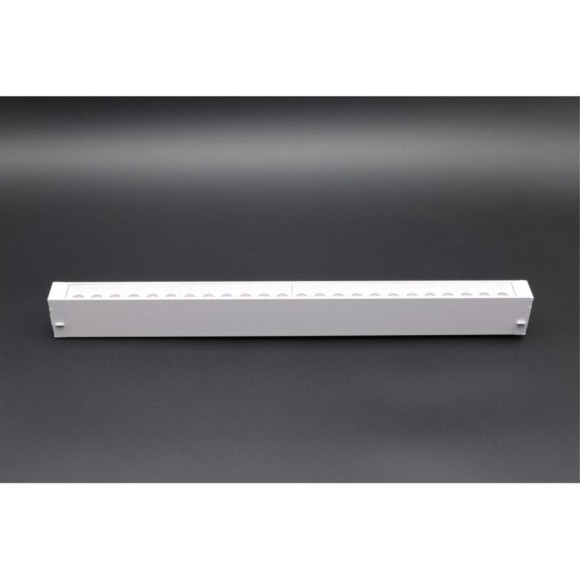 Трековый магнитный светильник Aployt Magnetic track 220 APL.0200.10.18