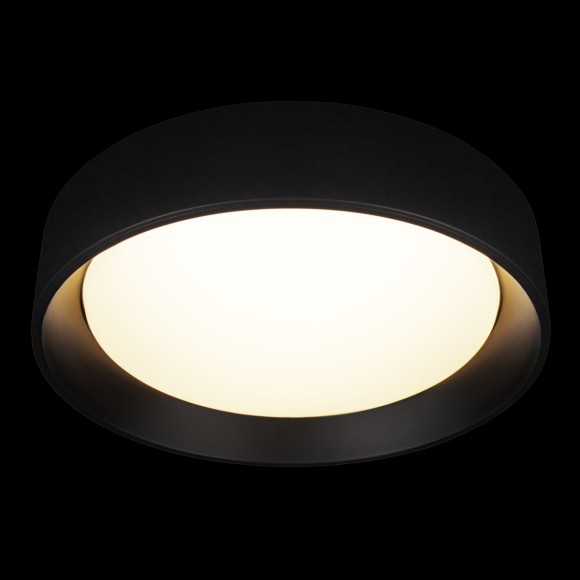 Потолочный светильник Loft IT Coin 10202 BB