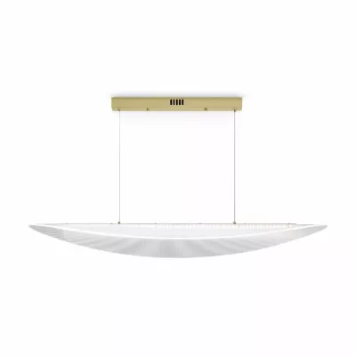 Подвесная люстра Freya Cloud FR5441PL-L40G