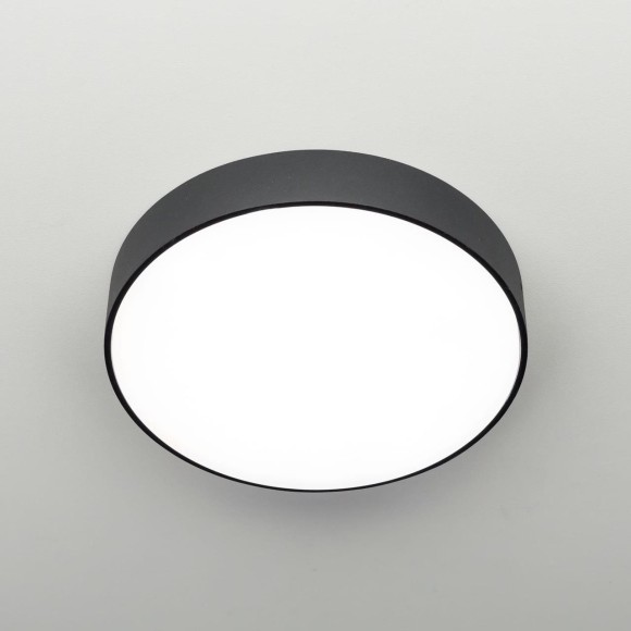 Потолочный светильник Citilux Тао CL712242N