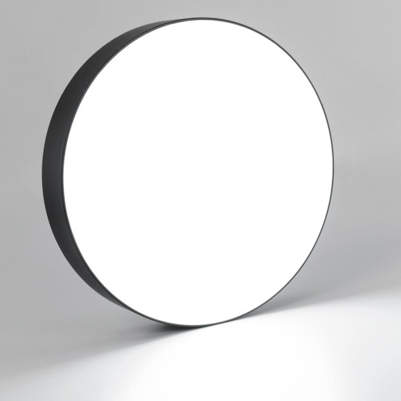 Потолочный светильник Citilux Тао CL712242N