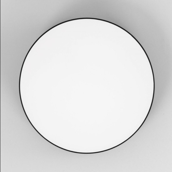 Потолочный светильник Citilux Тао CL712242N