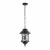 Уличный подвесной светильник Loft IT Prato 100021P