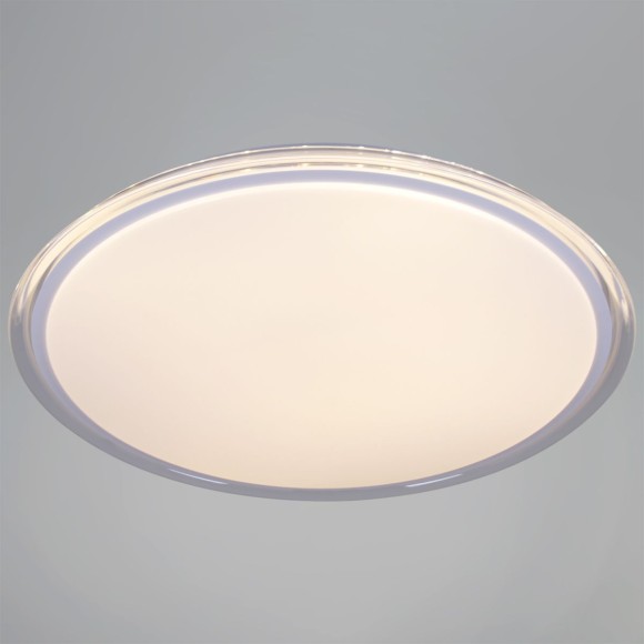 Потолочный светодиодный светильник Reluce 12001-0.5-500