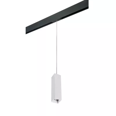 Трековый светильник Lightstar Rullo PRORP6396 (216396+595957)