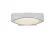 Настенный светильник iLedex Line ZD8118-6W WH, Белый, Теплый белый, Металл