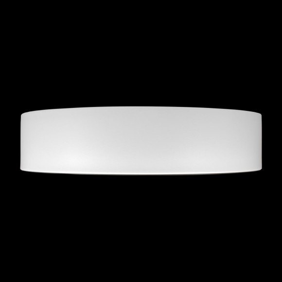 Потолочный светильник Loft IT Coin 10202 WB