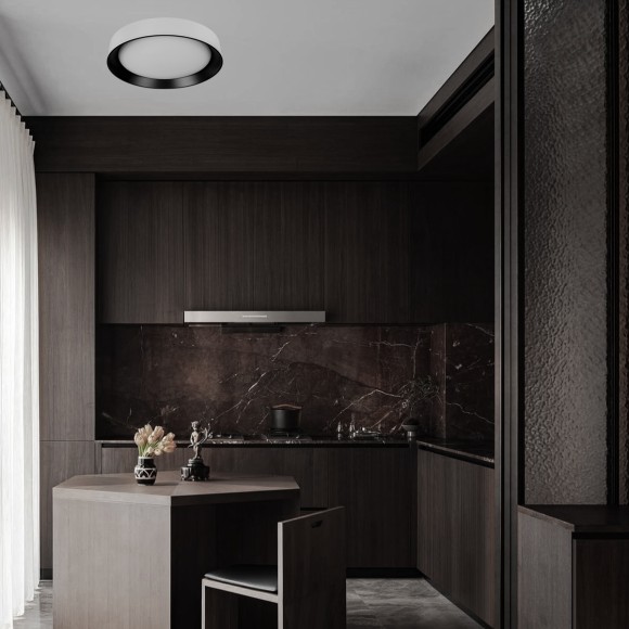 Потолочный светильник Loft IT Coin 10202 WB