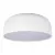 Потолочный светильник Loft IT Axel 10201/480 White