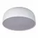 Потолочный светильник Loft IT Axel 10201/480 White, 4000, Нейтральный белый